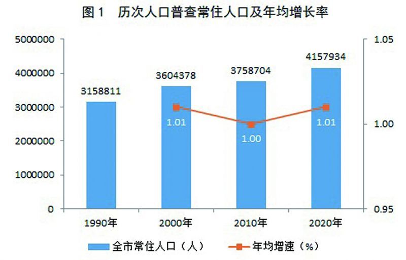 肥城市数据和政务服务局人事任命动态解析