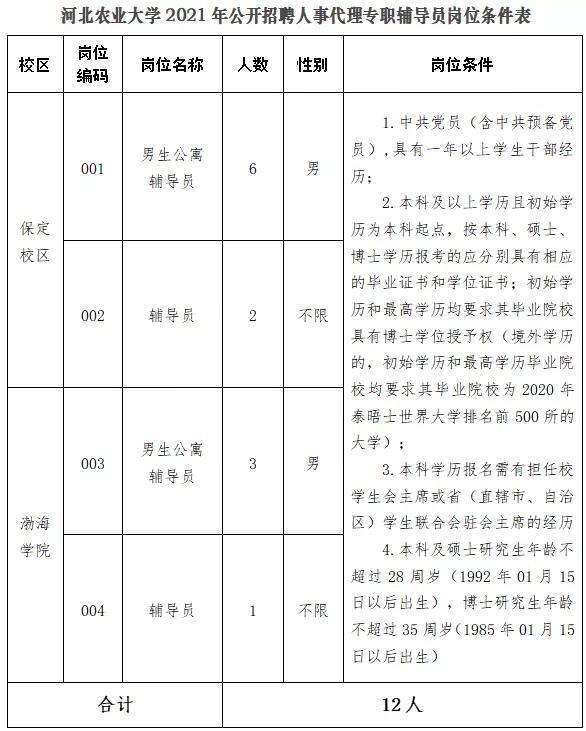 黄骅港最新招聘动态与职业机遇深度探讨